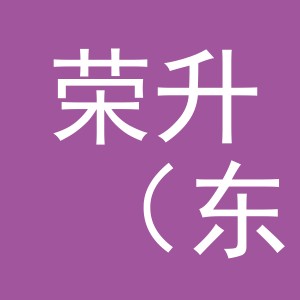 荣升（东阳市）文化用品有限公司