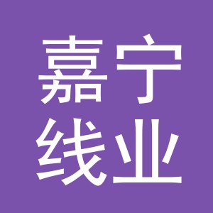 东阳市嘉宁线业有限公司