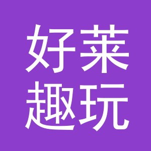 东阳市好莱趣玩具有限公司logo