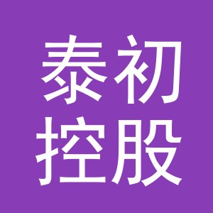 义乌市泰初控股有限公司