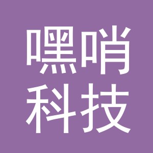 义乌市嘿哨科技有限公司