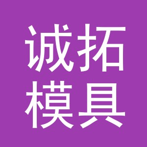 东阳市诚拓模具有限公司