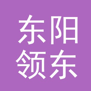 东阳领东商贸有限公司
