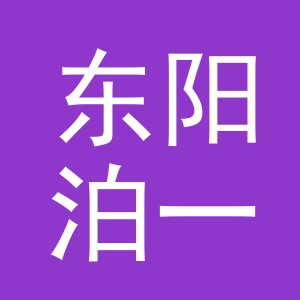 东阳泊一贸易有限公司