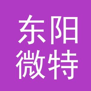 东阳微特电子商务有限公司