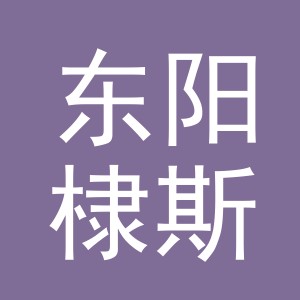 东阳棣斯电子商务有限公司