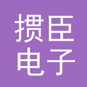 东阳市掼臣电子商务有限公司