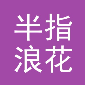 东阳市半指浪花电子商务有限公司