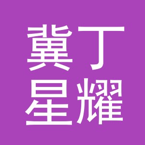 东阳市冀丁星耀电子商务有限公司