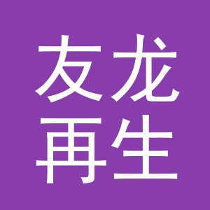 东阳市友龙再生资源回收有限责任公司