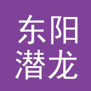 东阳潜龙投影商行（个体工商户）