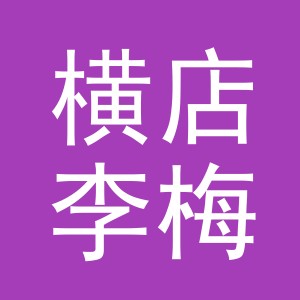 东阳市横店李梅副食店（个体工商户）