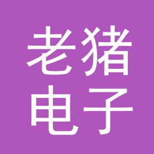 东阳市老猪电子商务商行（个体工商户）