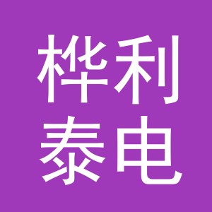 东阳市桦利泰电子秤店（个体工商户）