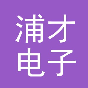 东阳市浦才电子商务商行（个体工商户）