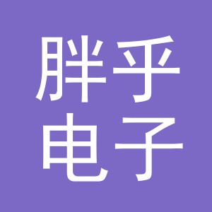 东阳市胖乎电子商务商行（个体工商户）