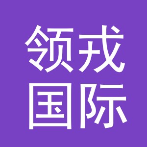 义乌市领戎国际贸易有限公司