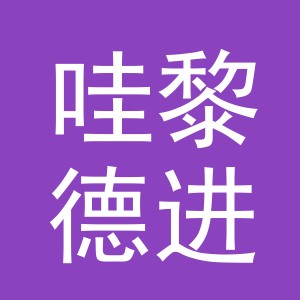 义乌市哇黎德进出口有限公司