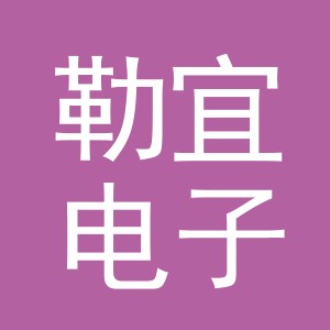 义乌市勒宜电子商务有限公司