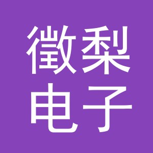 义乌市徵梨电子商务有限公司