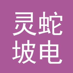 义乌市灵蛇坡电子商务有限公司