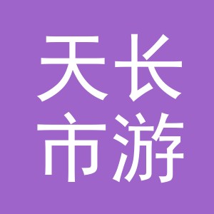 天长市游狂电子商务有限公司