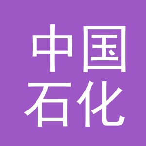 义乌市中国石化经营有限责任公司稠州中路天桥新能源充电站