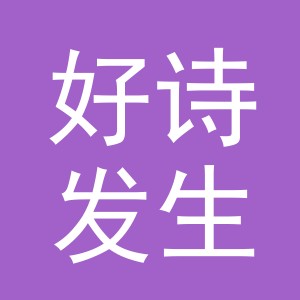 金华市好诗发生电子商务有限责任公司