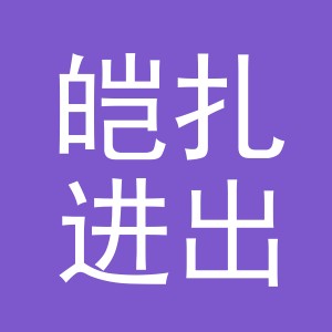 义乌市皑扎进出口有限公司