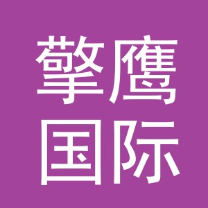 义乌市擎鹰国际贸易有限公司