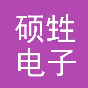 义乌市硕甡电子商务有限公司
