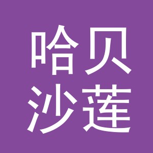义乌市哈贝沙莲进出口有限公司