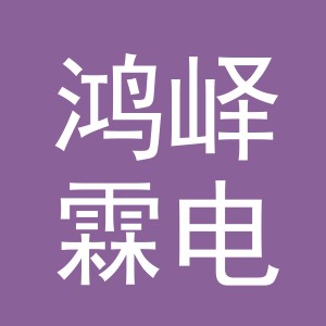 义乌市鸿峄霖电子商务有限公司