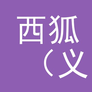 西狐（义乌）进出口有限公司