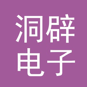 义乌市洞辟电子商务有限公司