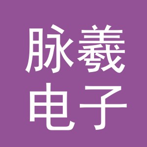义乌市脉羲电子商务有限公司