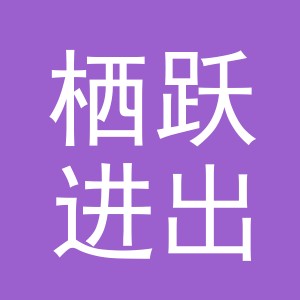 义乌市栖跃进出口有限公司