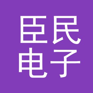 义乌臣民电子商务有限公司