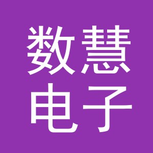 义乌数慧电子商务有限公司