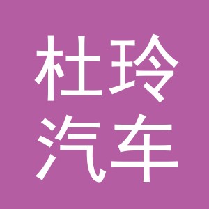 义乌市杜玲汽车配件有限公司