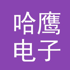 义乌市哈鹰电子商务有限公司