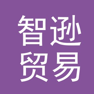 义乌智逊贸易有限公司