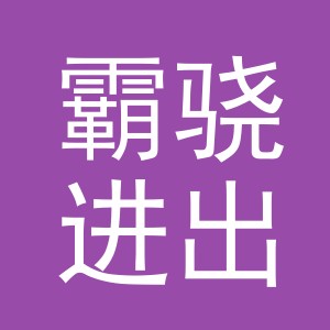 义乌市霸骁进出口有限公司