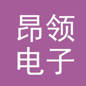 义乌昂领电子商务有限公司