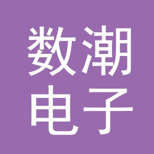 义乌数潮电子商务有限公司