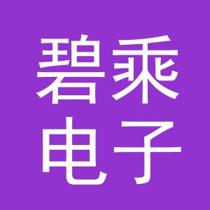 义乌市碧乘电子商务有限公司