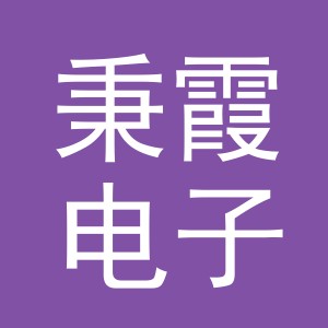 义乌市秉霞电子商务有限公司