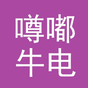 金华市噂嘟牛电子商务有限公司