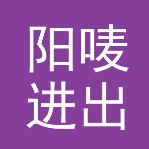 义乌市阳唛进出口有限公司