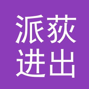 义乌市派荻进出口有限公司